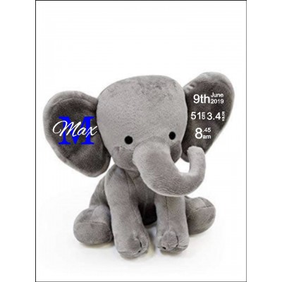 Grey Elephant With Birth Stats